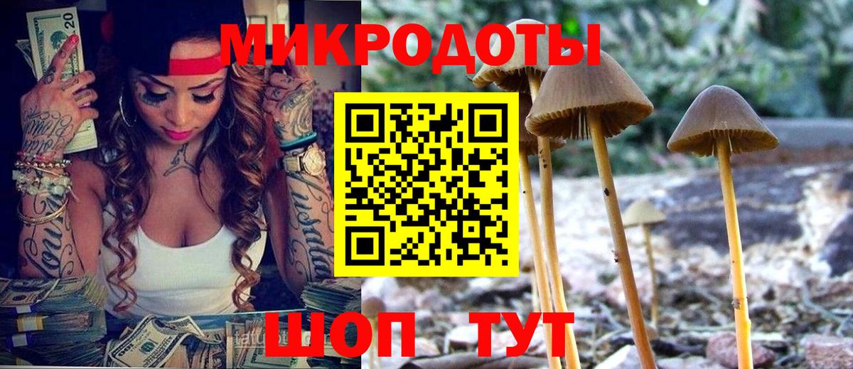 Галлюциногенные грибы Psilocybine cubensis Тихорецк
